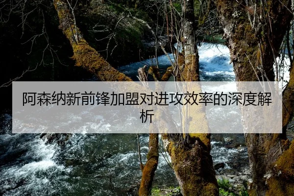 阿森纳新前锋加盟对进攻效率的深度解析